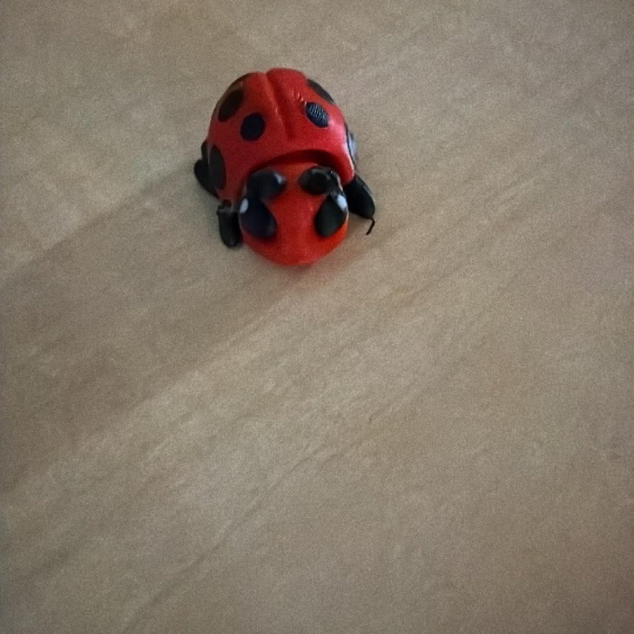 Mini Animals